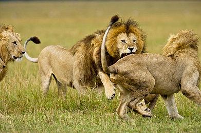 《赛博朋克2077》DLC往日之影9月26日推出 售149元